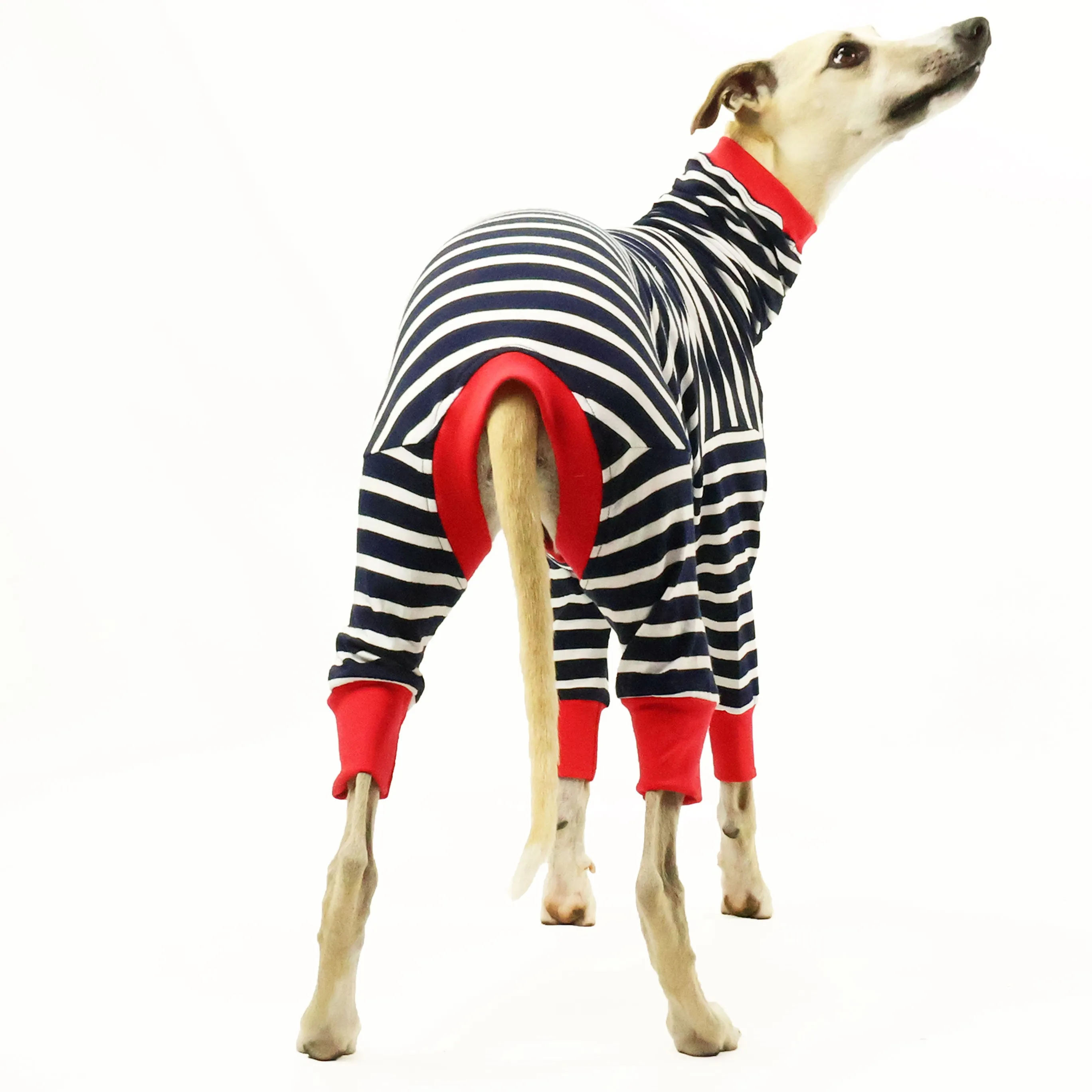 The Aussie Whippet Long Johns Hound-Tee